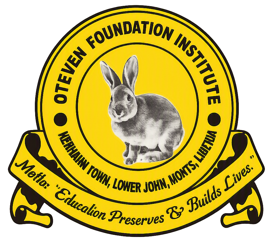 Oteven Foundation Institute